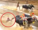 Bantwal: Racing buffaloes-handler wins Kambla at Hokkadigoli, despite dragged 20 mtrs till finish